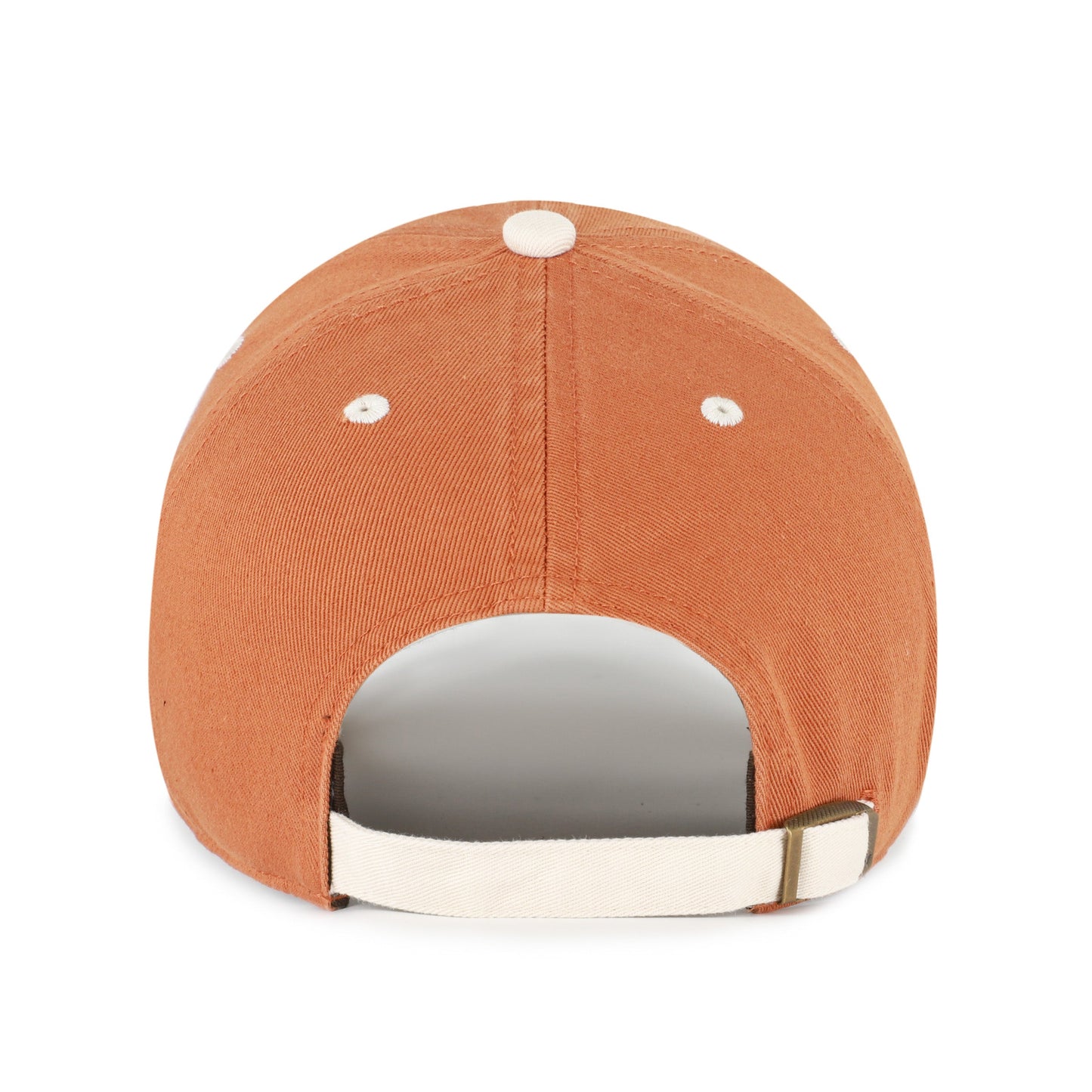 CLEVELAND BROWNS HISTORIC SPICE '47 CLEAN UP